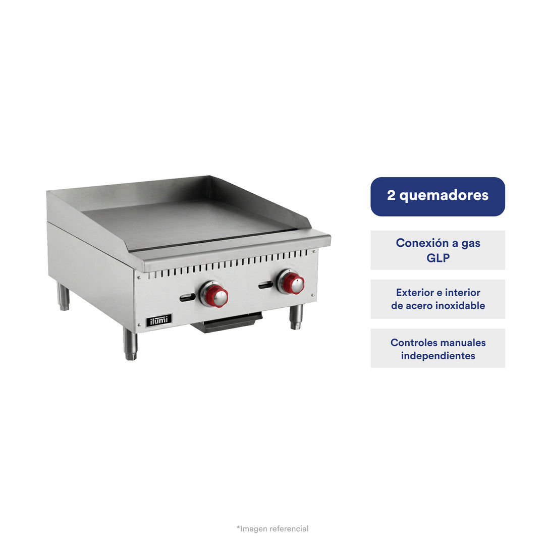 Plancha freidora a gas de 2 quemadores