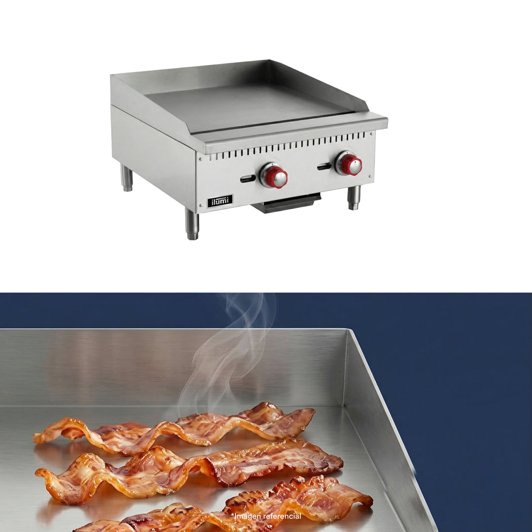 Plancha freidora a gas de 2 quemadores