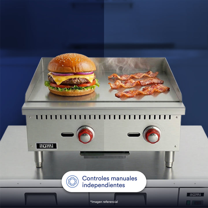 Plancha freidora a gas de 2 quemadores